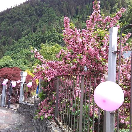 Casa Per Ferie Paola Di Rosa Hotel Арта Терме Екстериор снимка